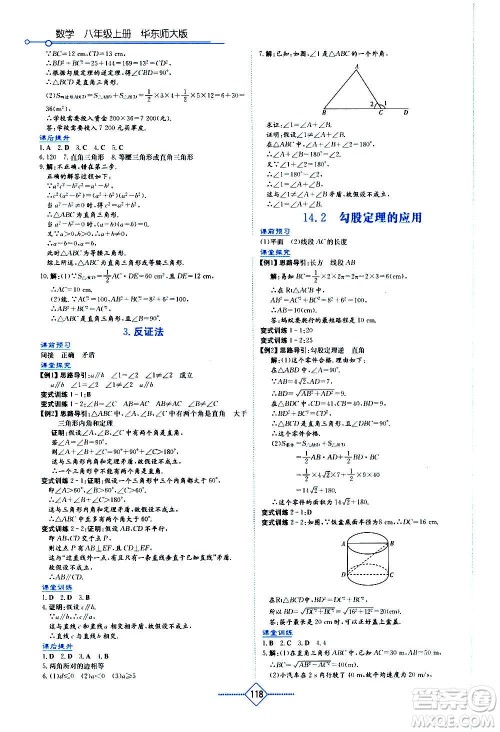 湖南教育出版社2020年学法大视野数学八年级上册华东师大版答案