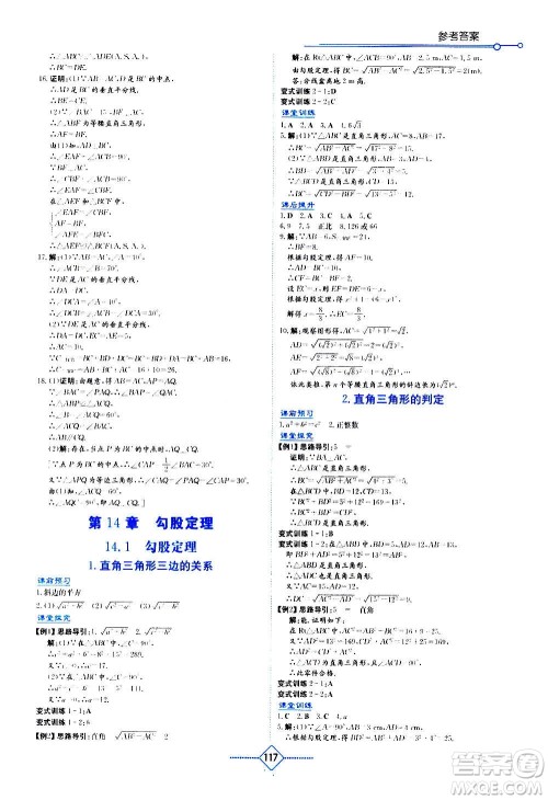 湖南教育出版社2020年学法大视野数学八年级上册华东师大版答案