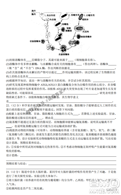 河南省名校联盟2021届高三10月质量检测生物试题及答案