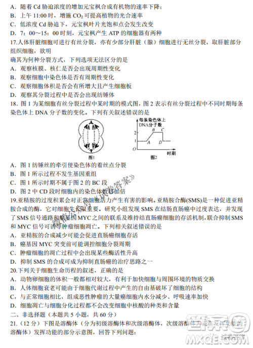 河南省名校联盟2021届高三10月质量检测生物试题及答案