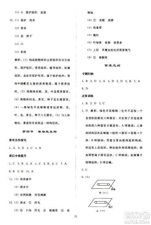 人民教育出版社2020秋同步轻松练习生物学七年级上册人教版答案