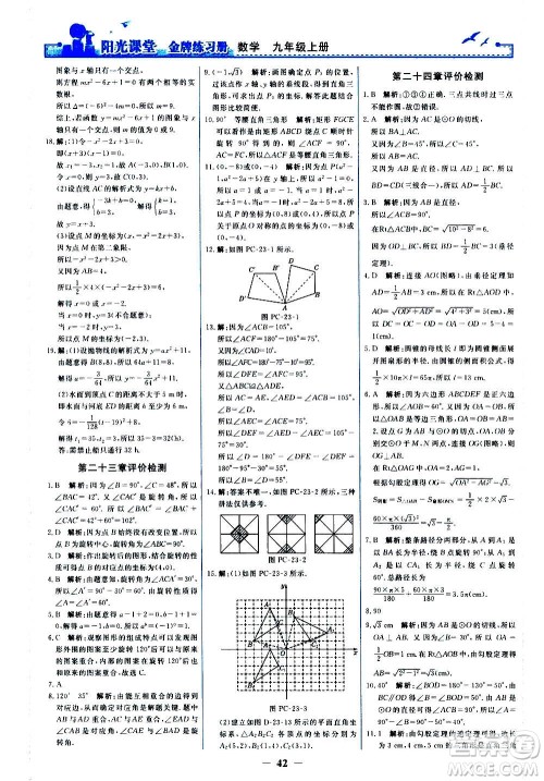 人民教育出版社2020年阳光课堂金牌练习册数学九年级上册人教版答案