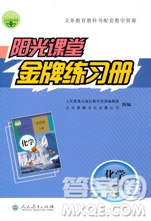 人民教育出版社2020年阳光课堂金牌练习册化学九年级上册人教版答案