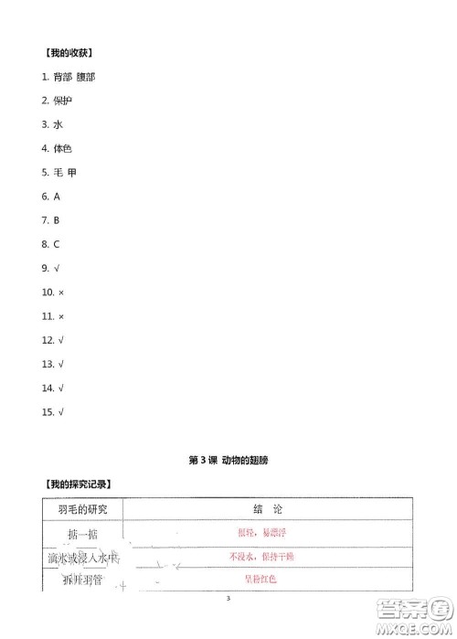 山东美术出版社2020新课堂同步体验与探究三年级科学上册答案