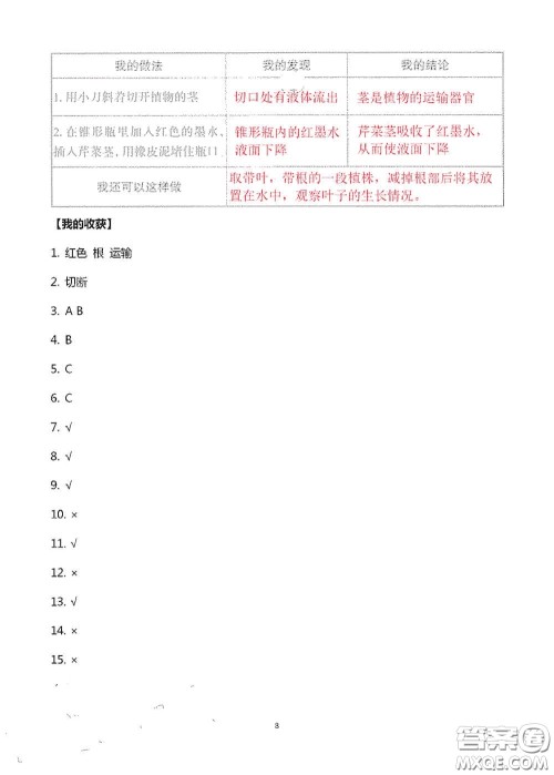 山东美术出版社2020新课堂同步体验与探究三年级科学上册答案