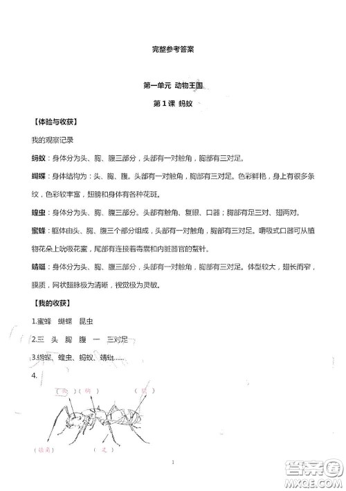 山东美术出版社2020新课堂同步体验与探究四年级科学上学期人教版答案