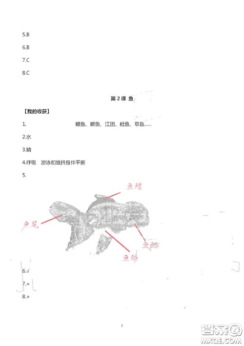 山东美术出版社2020新课堂同步体验与探究四年级科学上学期人教版答案