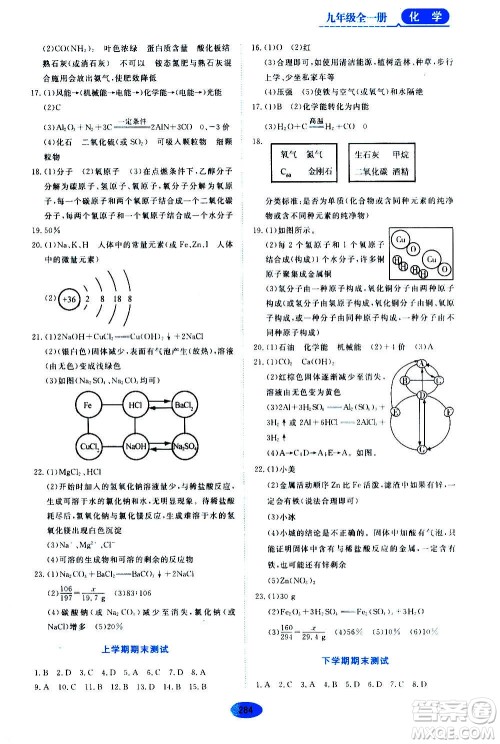 2020年五四学制资源与评价化学九年级全一册人教版参考答案