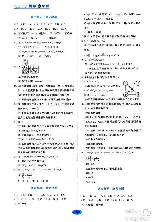 2020年五四学制资源与评价化学九年级全一册人教版参考答案