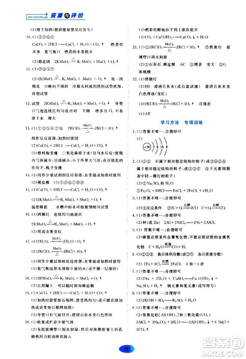 2020年五四学制资源与评价化学九年级全一册人教版参考答案