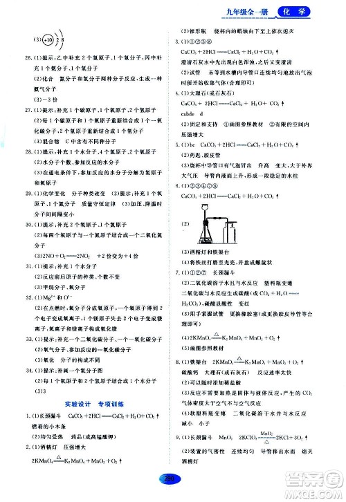 2020年五四学制资源与评价化学九年级全一册人教版参考答案