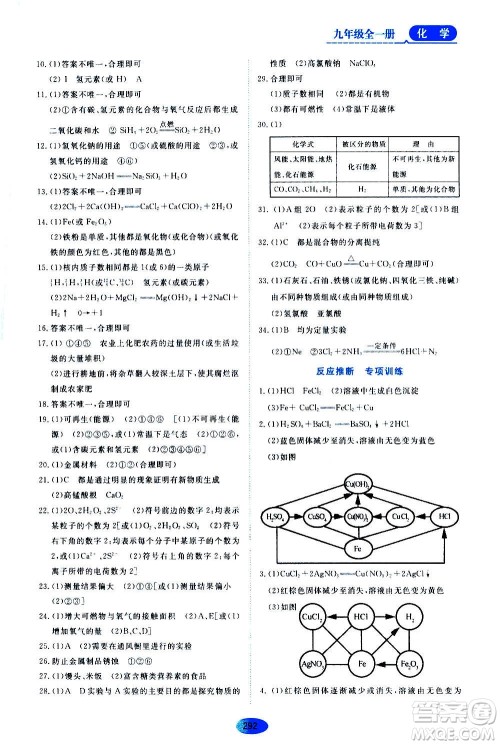 2020年五四学制资源与评价化学九年级全一册人教版参考答案