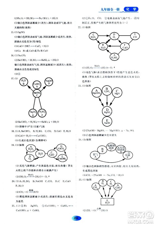 2020年五四学制资源与评价化学九年级全一册人教版参考答案