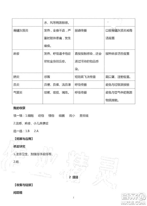 山东美术出版社2020秋新课堂同步体验与探究六年级科学上学期人教版答案