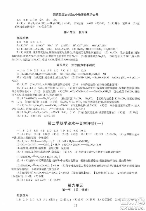 明天出版社2020智慧学习九年级化学全一册人教版答案