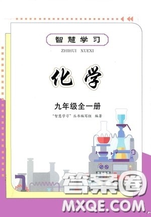 明天出版社2020智慧学习九年级化学全一册人教版答案
