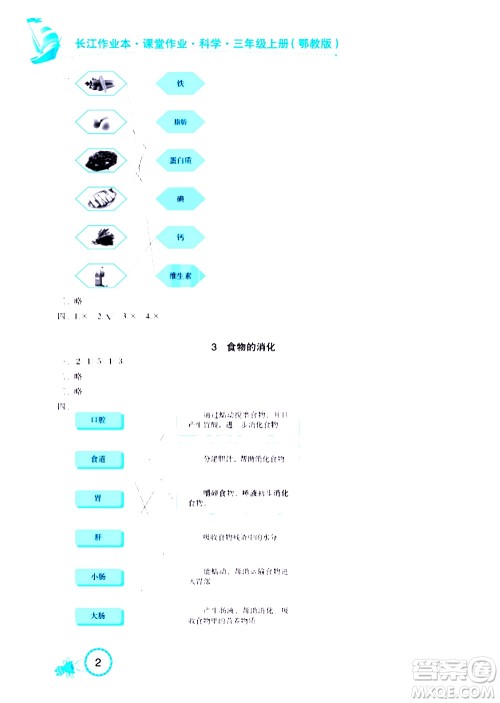 湖北教育出版社2020年长江作业本课堂作业科学三年级上册鄂教版答案