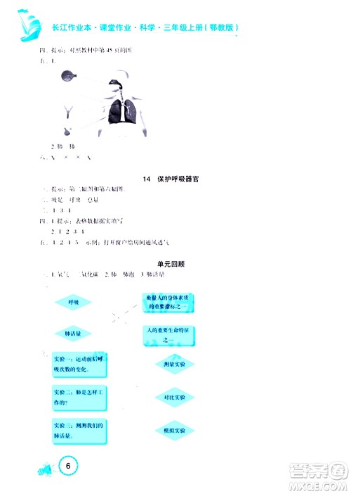 湖北教育出版社2020年长江作业本课堂作业科学三年级上册鄂教版答案 湖北教育出版社2020年长江作业本课堂作业科学三年级上册鄂教版答案