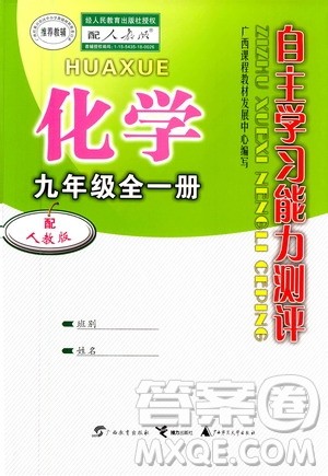 广西教育出版社2020年自主学习能力测评化学九年级全一册人教版答案