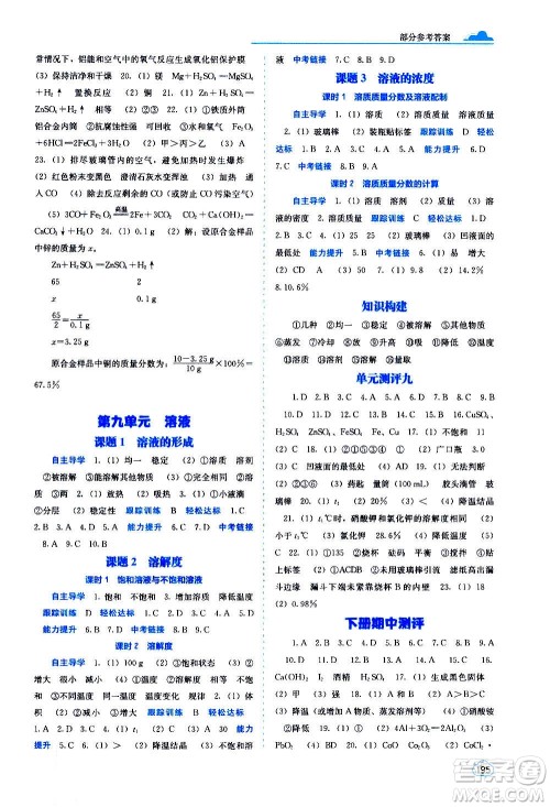广西教育出版社2020年自主学习能力测评化学九年级全一册人教版答案