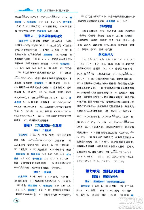 广西教育出版社2020年自主学习能力测评化学九年级全一册人教版答案