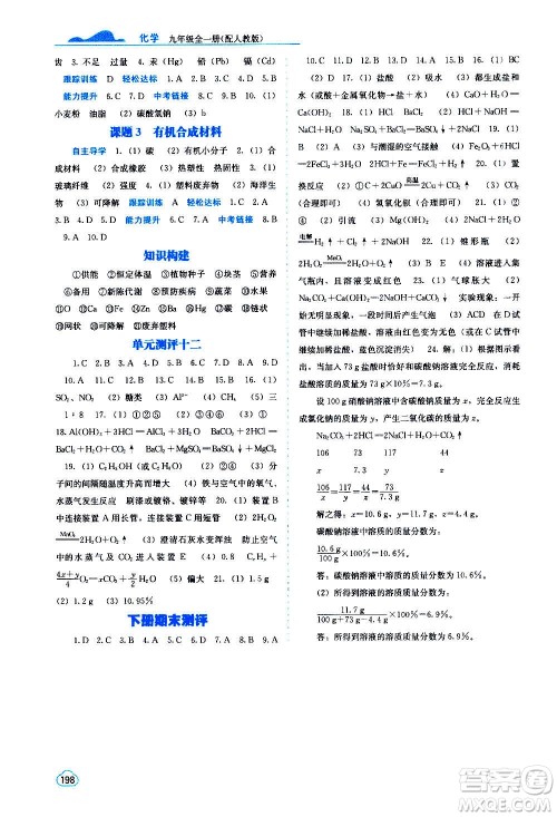 广西教育出版社2020年自主学习能力测评化学九年级全一册人教版答案