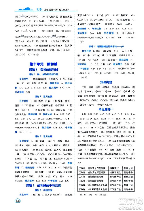 广西教育出版社2020年自主学习能力测评化学九年级全一册人教版答案