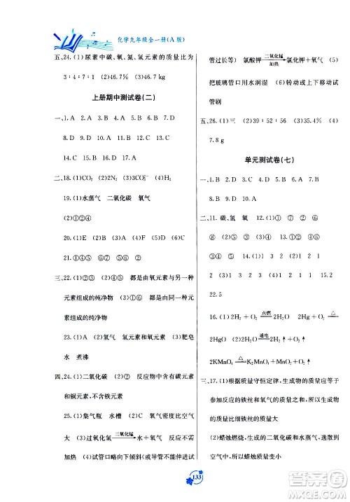 广西教育出版社2020年自主学习能力测评单元测试化学九年级全一册A版答案