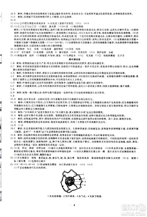 武汉出版社2020年黄冈密卷生物七年级上册RJ人教版答案