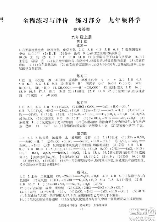 浙江人民出版社2020全程练习与评价九年级科学全一册ZH版答案