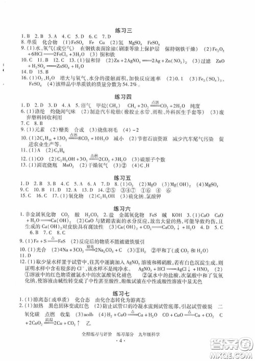 浙江人民出版社2020全程练习与评价九年级科学全一册ZH版答案