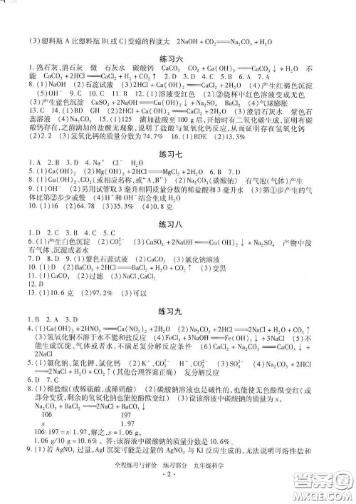 浙江人民出版社2020全程练习与评价九年级科学全一册ZH版答案