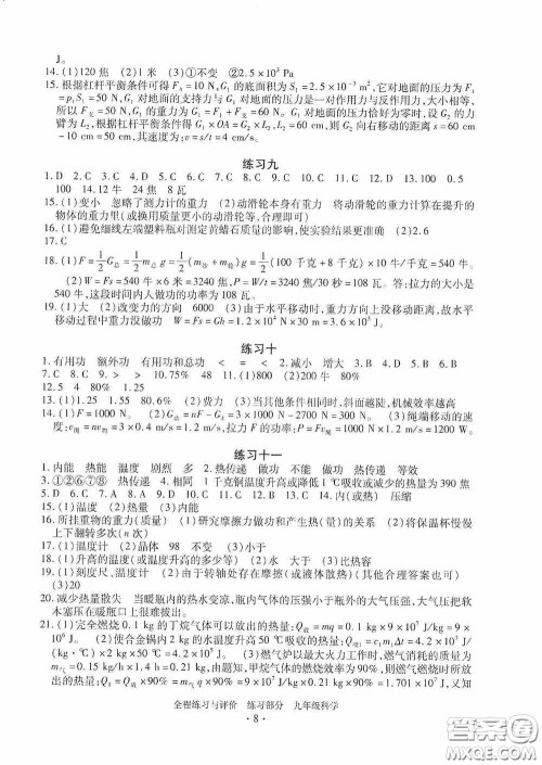 浙江人民出版社2020全程练习与评价九年级科学全一册ZH版答案