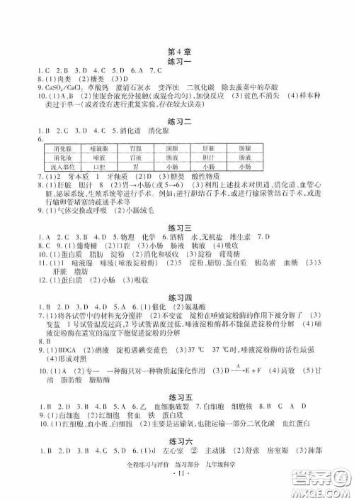 浙江人民出版社2020全程练习与评价九年级科学全一册ZH版答案