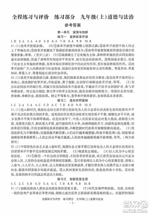 浙江人民出版社2020全程练习与评价九年级道德与法治上册人教版答案