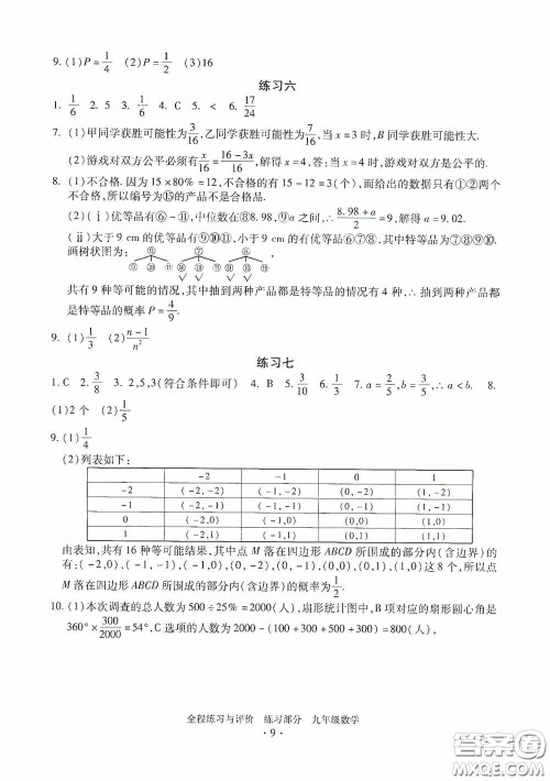 浙江人民出版社2020全程练习与评价九年级数学全一册ZH版答案