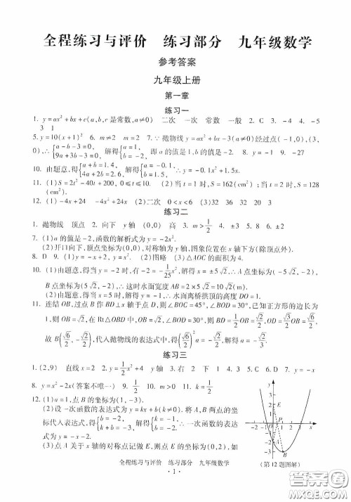 浙江人民出版社2020全程练习与评价九年级数学全一册ZH版答案
