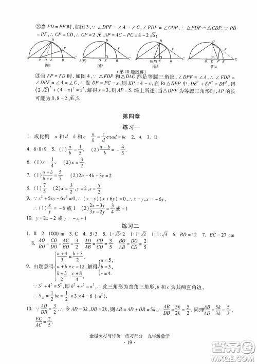 浙江人民出版社2020全程练习与评价九年级数学全一册ZH版答案