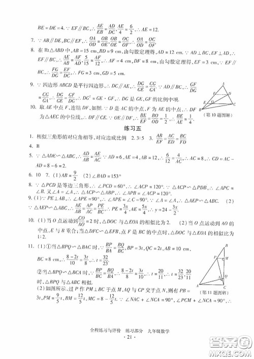 浙江人民出版社2020全程练习与评价九年级数学全一册ZH版答案
