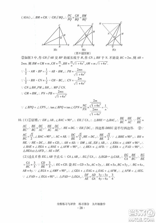 浙江人民出版社2020全程练习与评价九年级数学全一册ZH版答案