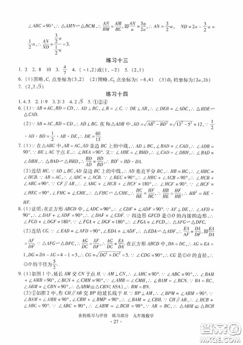 浙江人民出版社2020全程练习与评价九年级数学全一册ZH版答案