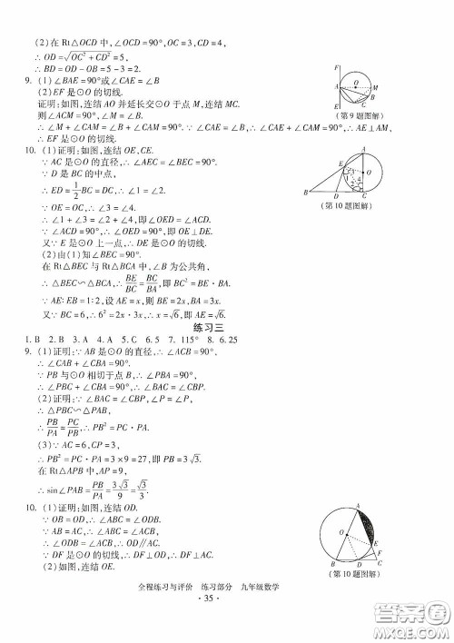 浙江人民出版社2020全程练习与评价九年级数学全一册ZH版答案