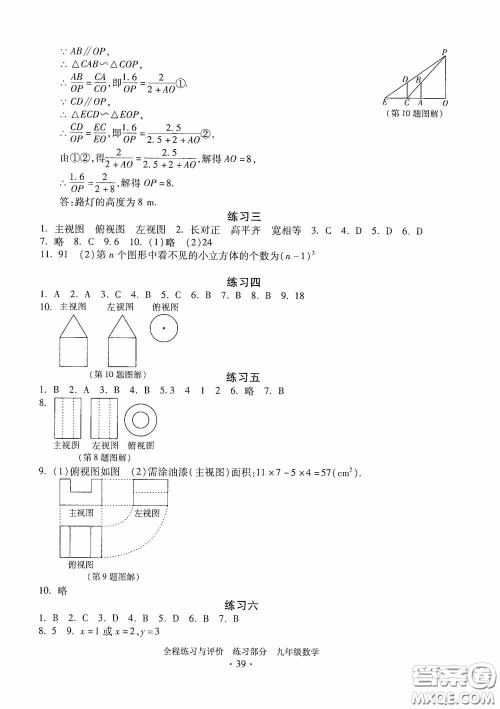 浙江人民出版社2020全程练习与评价九年级数学全一册ZH版答案