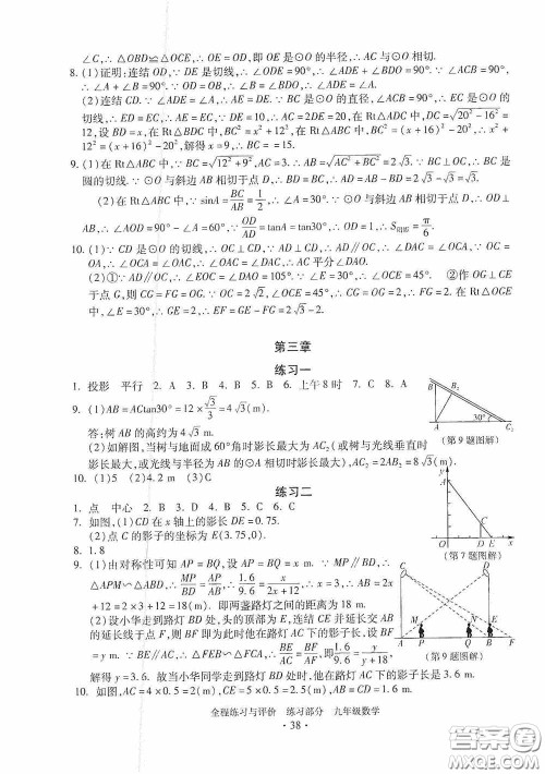 浙江人民出版社2020全程练习与评价九年级数学全一册ZH版答案