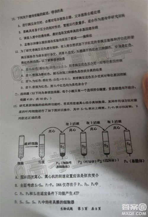 惠州市2021届高三第二次调研考试生物试题及答案