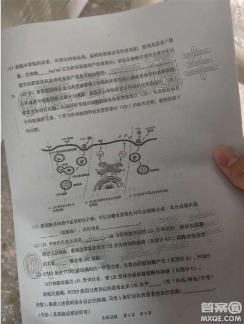 惠州市2021届高三第二次调研考试生物试题及答案