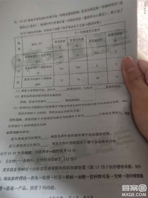 惠州市2021届高三第二次调研考试生物试题及答案 惠州市2021届高三第二次调研考试生物试题及答案
