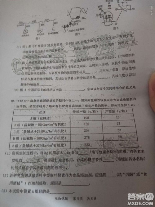 惠州市2021届高三第二次调研考试生物试题及答案