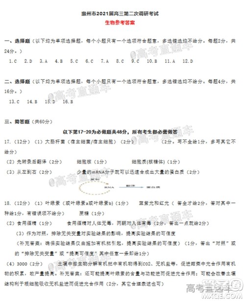 惠州市2021届高三第二次调研考试生物试题及答案 惠州市2021届高三第二次调研考试生物试题及答案