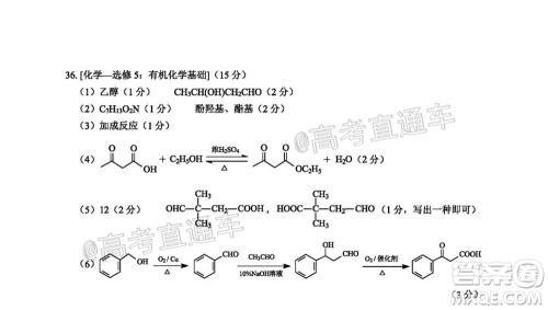 绵阳市高中2018级第一次诊断性考试理科综合试题及答案 绵阳市高中2018级第一次诊断性考试理科综合试题及答案